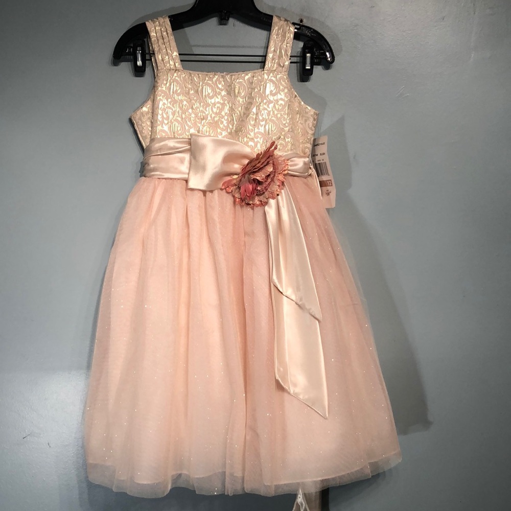 Chantilly Place dress size 12 has stain